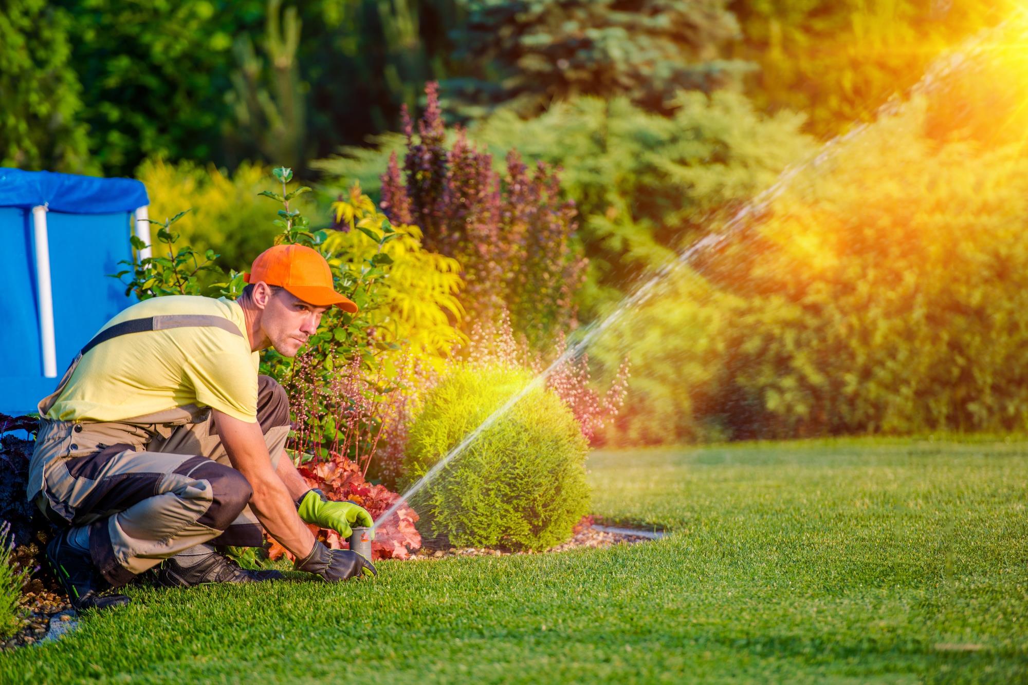 Man adjusting overhead sprinkler lawn bushes