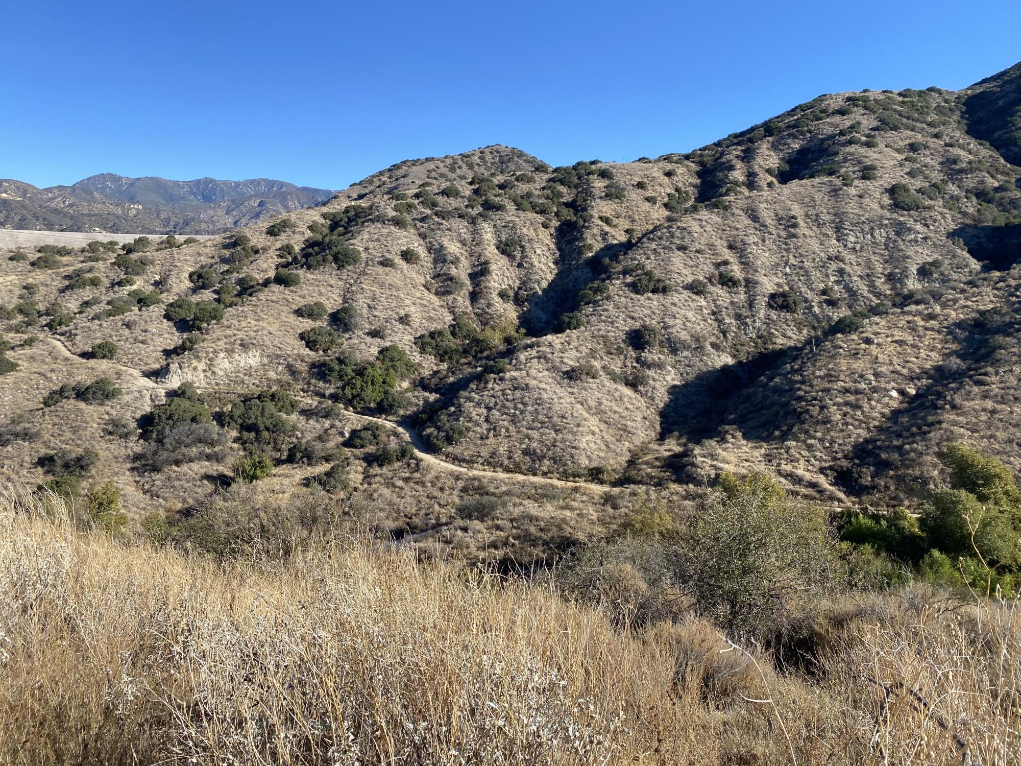 Photo of Tres Lagos hillside, grass