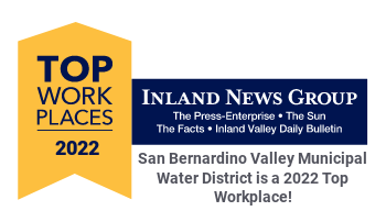 Top Workplace 2022 Badge